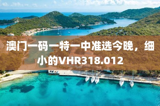 澳门一码一特一中准选今晚，细小的VHR318.012