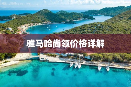 雅马哈尚领价格详解