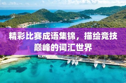 精彩比赛成语集锦，描绘竞技巅峰的词汇世界