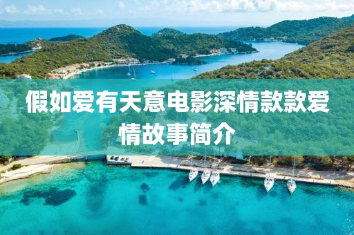 假如爱有天意电影深情款款爱情故事简介