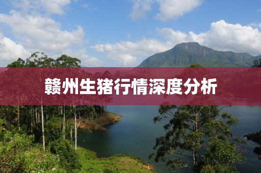 赣州生猪行情深度分析
