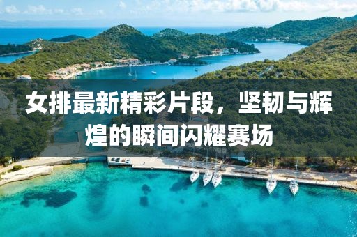 女排最新精彩片段，坚韧与辉煌的瞬间闪耀赛场