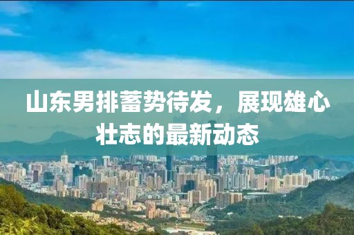 山东男排蓄势待发，展现雄心壮志的最新动态