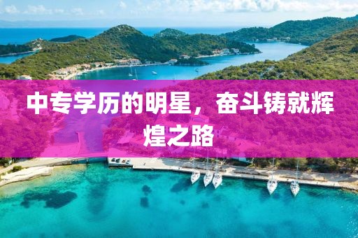 中专学历的明星，奋斗铸就辉煌之路