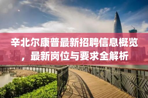 辛北尔康普最新招聘信息概览，最新岗位与要求全解析