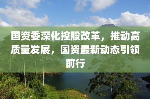 国资委深化控股改革，推动高质量发展，国资最新动态引领前行