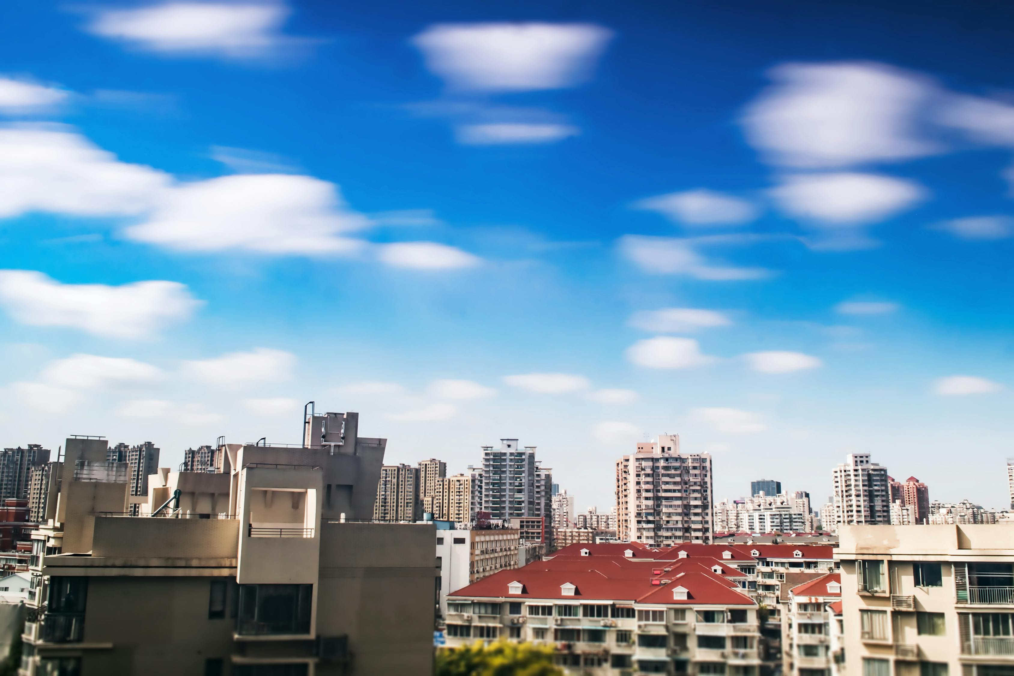 温州新闻快报，城市脉搏与热点透视