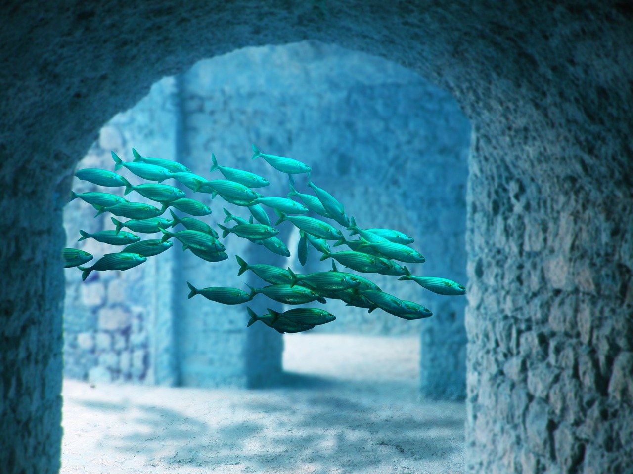 海王生物最新动态，引领海洋生物科技，开启未来发展新纪元