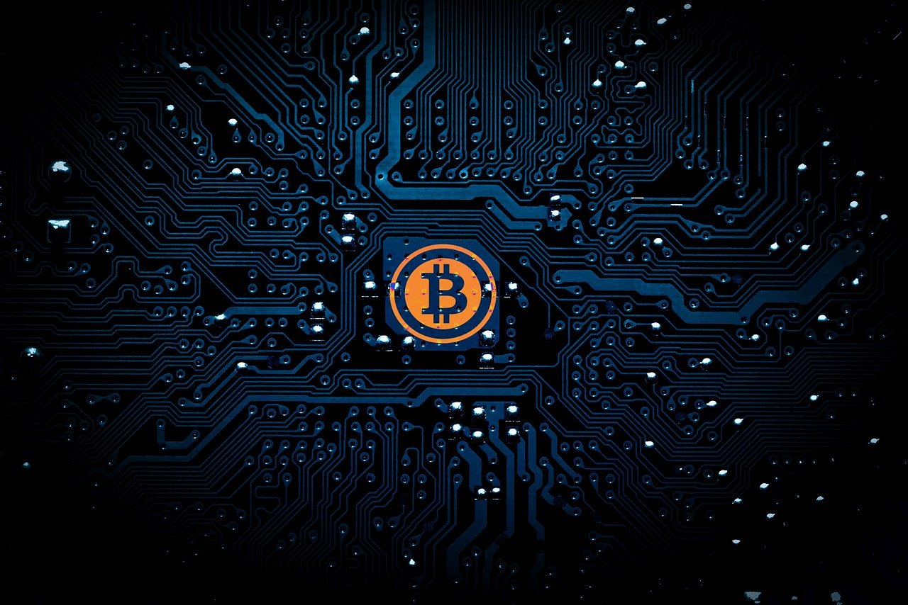 杨建芳案最新进展揭秘，探寻真相之路的迷雾逐渐明朗