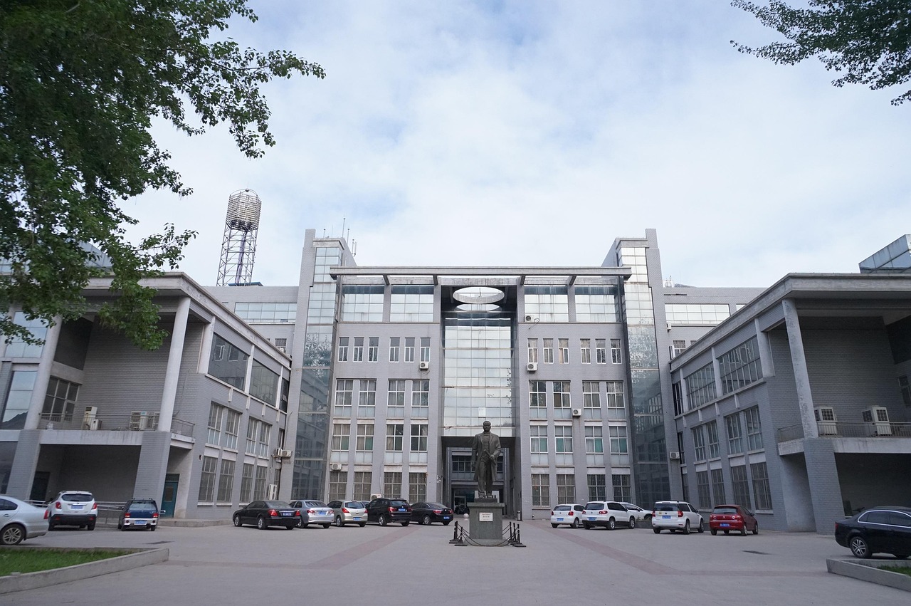 武汉大学三行诗比赛，青春诗韵的绽放