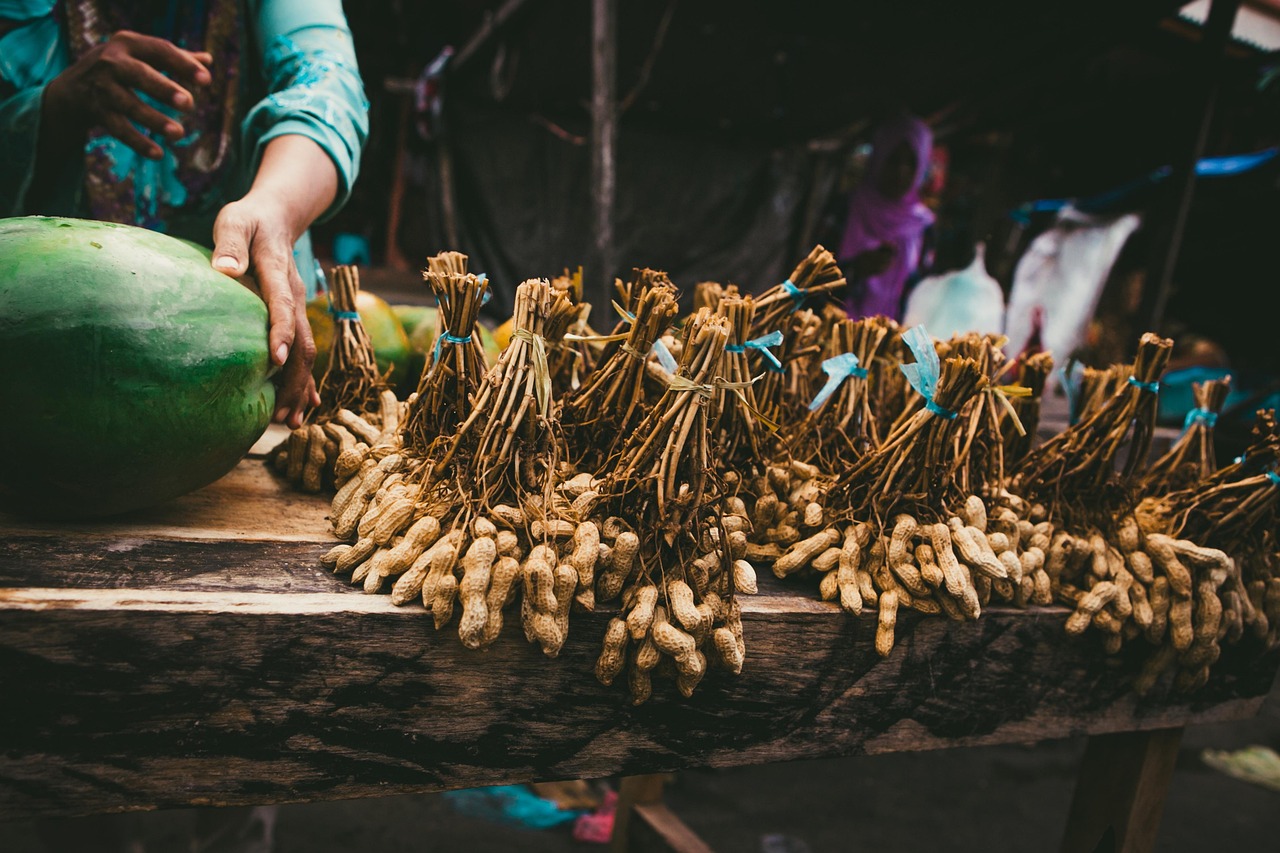 带壳花生最新价格与市场分析动态